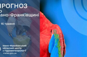 Прогноз погоди на 16 травня 2026 року