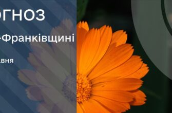 Прогноз погоди на 29 травня 2026 року
