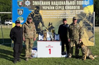 Вівчарка прикарпатських поліцейських Зола - чемпіонка України з пошуку вибухонебезпечних предметів