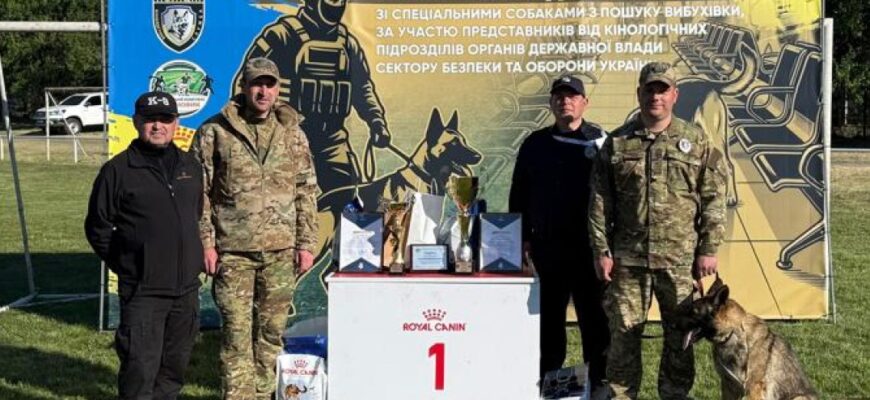Вівчарка прикарпатських поліцейських Зола - чемпіонка України з пошуку вибухонебезпечних предметів