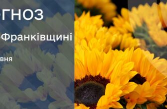 Прогноз погоди на 25 травня 2026 року