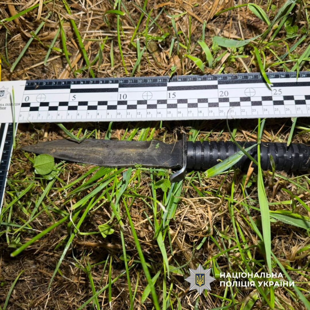 lzier - Косівський район: поліцейські застосували зброю під час затримання чоловіка, який кидався з ножем - rai.ua