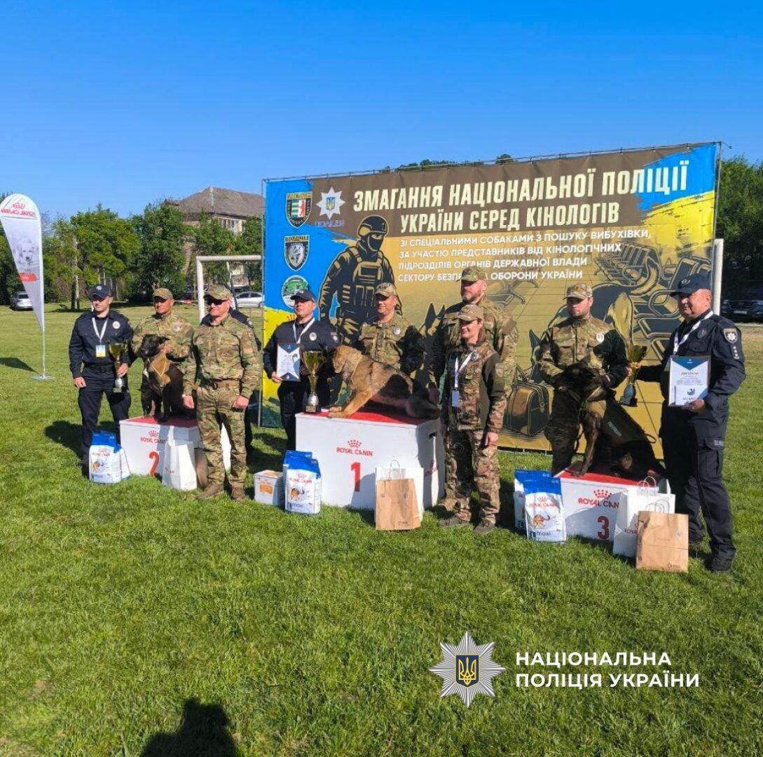 olshrtzh - Вівчарка прикарпатських поліцейських Зола - чемпіонка України з пошуку вибухонебезпечних предметів - rai.ua