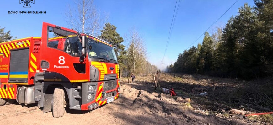 Від початку року на Прикарпатті зареєстровано 1058 пожеж в екосистемах