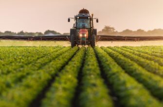 Аграрії Прикарпаття можуть отримати до 1,1 млн грн грантової підтримки через ДАР