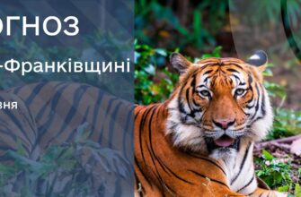 Прогноз погоди на 9 травня 2026 року