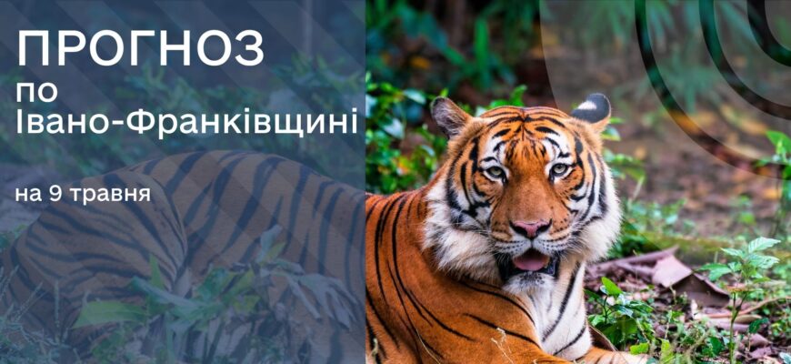 Прогноз погоди на 9 травня 2026 року
