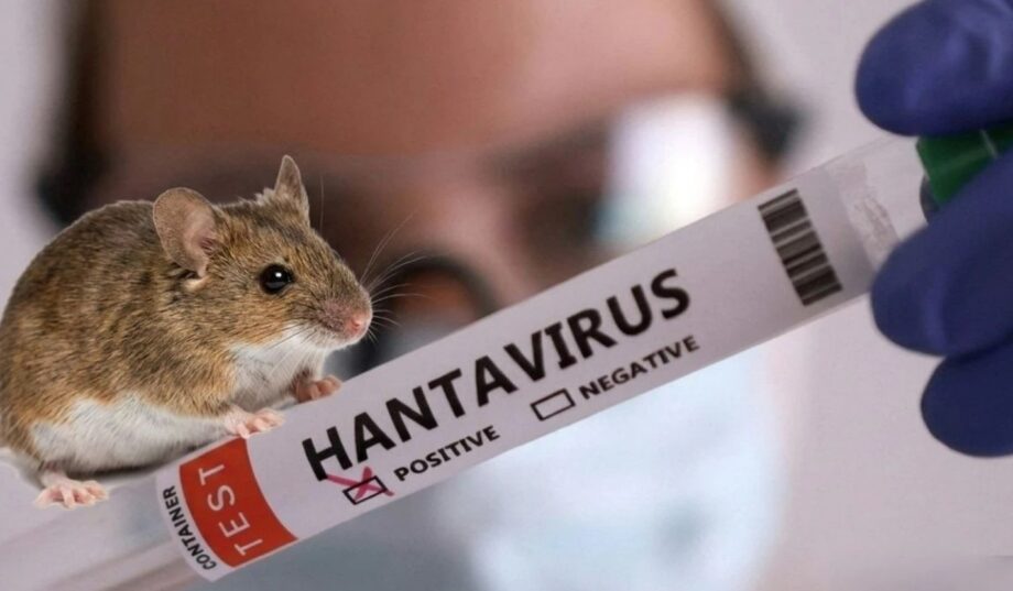 https://rai.ua/novyny/chy-varto-prykarpattsiam-osterihatysia-spalakhu-khantavirusnoi-infektsii-video
