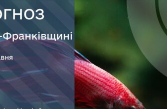 Прогноз погоди на 12 травня 2026 року