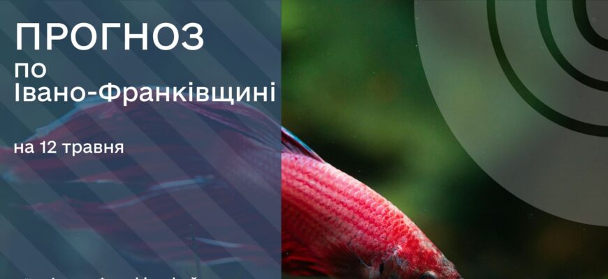 Прогноз погоди на 12 травня 2026 року