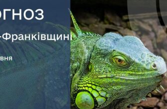 Прогноз погоди на 15 травня 2026 р