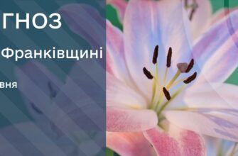 Прогноз погоди на 23 травня 2026 року