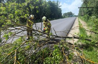 Рятувальники Прикарпаття ліквідовували наслідки негоди
