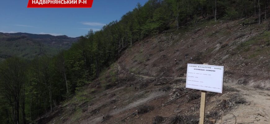 На Надвірнянщині висадили гектар лісу на честь полеглих захисників. Відео