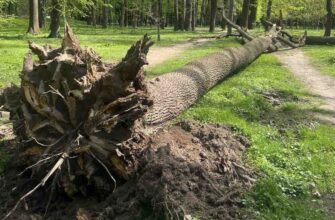 Як в Івано-Франківську ліквідували наслідки стихії? Відео