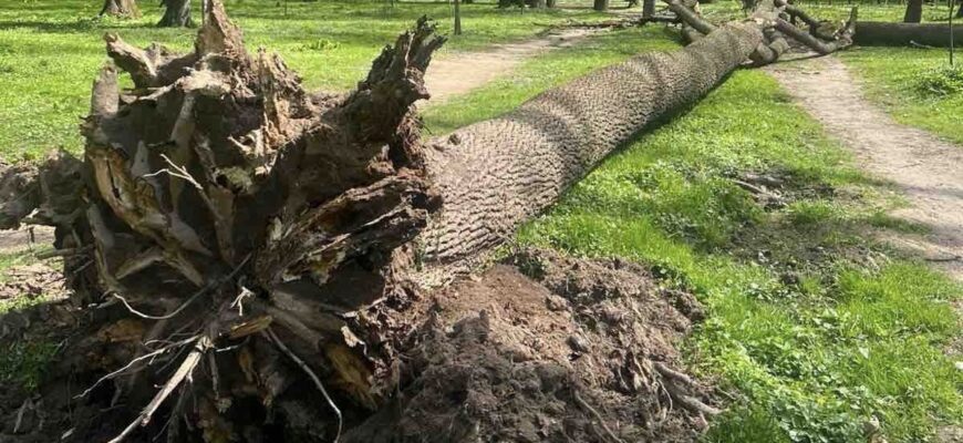 Як в Івано-Франківську ліквідували наслідки стихії? Відео