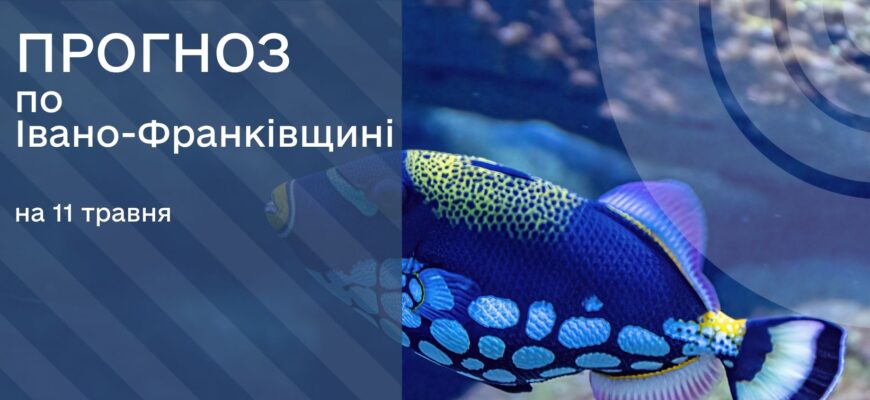 Прогноз погоди на 11 травня 2026 року