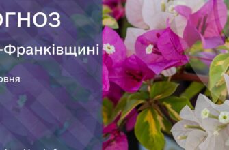 Прогноз погоди на 24 червня 2026 року