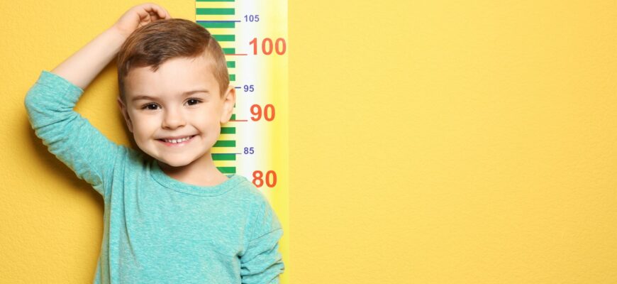 Який вплив гормону росту на гіпертрофію м’язів, ліполіз та старіння?