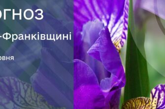 Прогноз погоди на 23 червня 2026 року