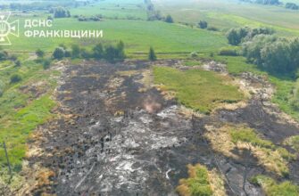 На Прикарпатті рятувальники ліквідували пожежу торфу