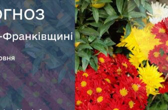 Прогноз погоди на 29 червня 2026 року