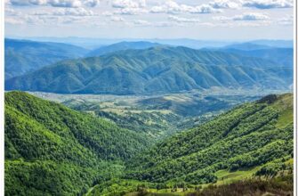 Туристична галузь Прикарпаття демонструє зростання