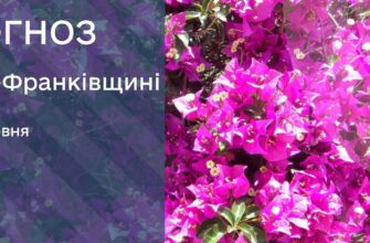 Прогноз погоди на 25 червня 2026 року