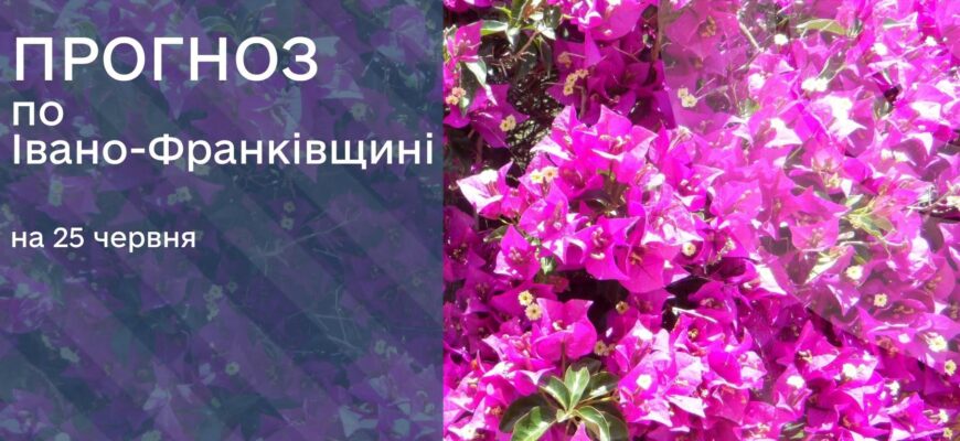 Прогноз погоди на 25 червня 2026 року