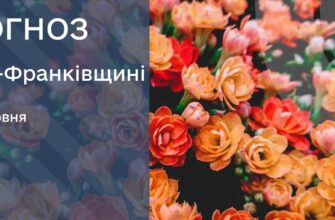 Прогноз погоди на 16 червня 2026 року
