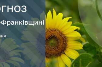Прогноз погоди на 2 червня 2026 року