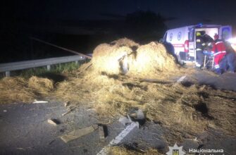Поліцейські Прикарпаття розслідують аварію, в якій загинув керманич гужового воза