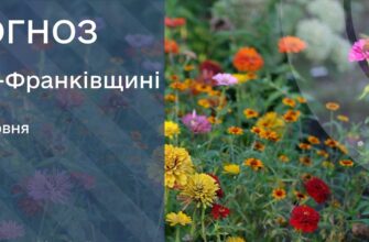 Прогноз погоди на 13 червня 2026 року
