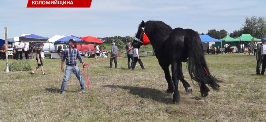 У Дебеславцях, на Коломийщині, відбувся масштабний кінний фестиваль. Відео