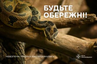 Рятувальники Прикарпаття попереджають про поширення змій