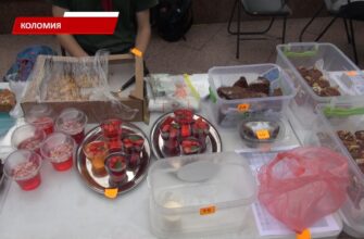 У Коломиї пластуни провели благодійний ярмарок. Відео