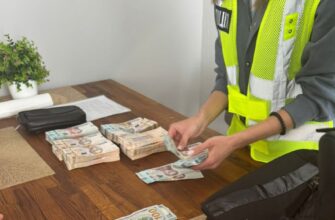 Фіктивні поставки деревини на Прикарпатті: затримано посадовця держпідприємства