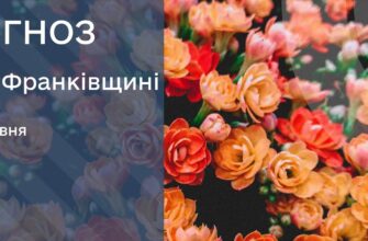 ydiudl e1781532922745 - Прогноз погоди на 16 червня 2026 року - rai.ua