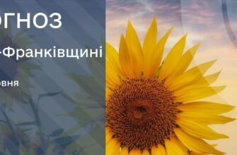 Прогноз погоди на 10 червня 2026 року