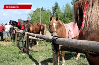 На Косівщині відбувся кінний фестиваль. Відео