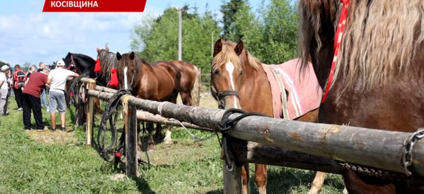 На Косівщині відбувся кінний фестиваль. Відео