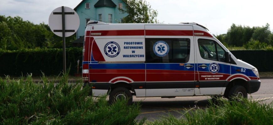 ДТП, падіння і укуси змій — найчастіші травми літа