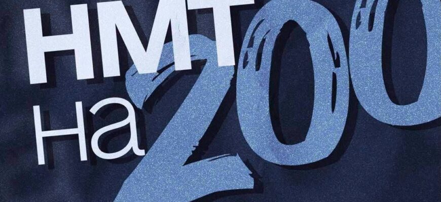 169 прикарпатців отримали найвищий результат - 200 балів на НМТ-2026