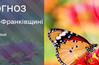 Прогноз погоди на 29 липня 2026 року