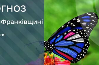 Прогноз погоди на 28 липня 2026 року