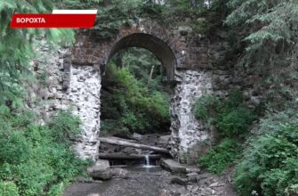 У Ворохтянській громаді відновили рідкісне верхове болото Рудяк. Відео