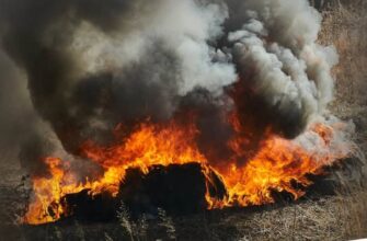 Рятувальники розвінчують міфи про спалювання сухої трави та сміття