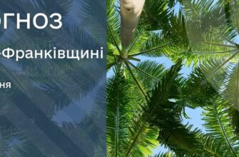 Прогноз погоди на 11 липня 2026 року