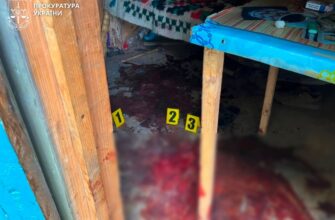 На Верховинщині чоловік зарізав незнайомця через суперечку про політику