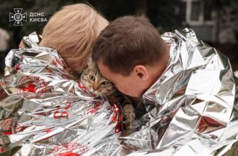 Кількість загиблих у Києві внаслідок російського удару зросла до 14 людей